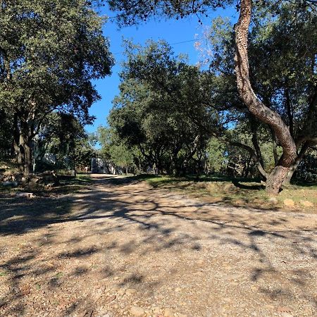Les Terrasses Des Gardies Acomodação com café da manhã Pignan Exterior foto