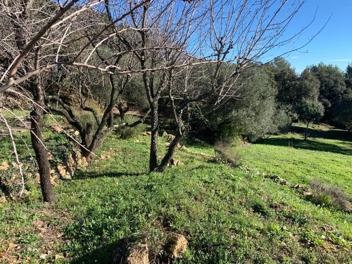 Les Terrasses Des Gardies Acomodação com café da manhã Pignan Exterior foto