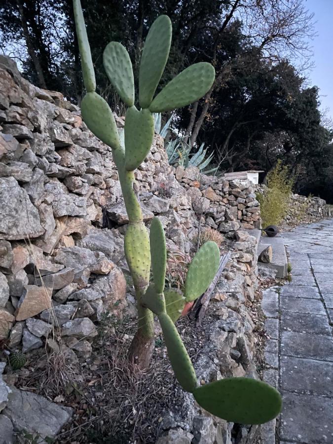 Les Terrasses Des Gardies Acomodação com café da manhã Pignan Exterior foto